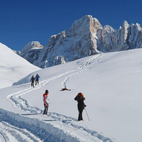 Settimana dal 7 al 14 Febbraio a Predazzo