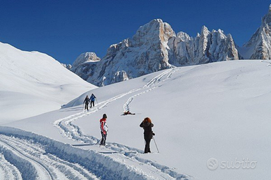 Settimana dal 7 al 14 Febbraio a Predazzo