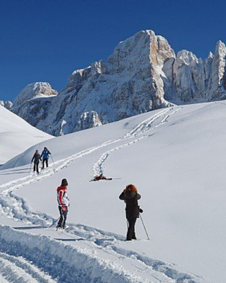 Settimana dal 7 al 14 Febbraio a Predazzo