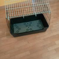 Gabbietta cani taglia piccola