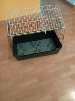 Gabbietta cani taglia piccola