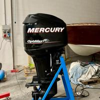 Mercury Optimax 75 2013