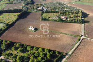 Masseria - Campi Salentina