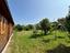 Immagine 12