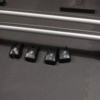 La Prealpina barre portapacchi tetto Clio IV