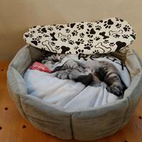 cuccia morbida per gatti 