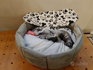 cuccia morbida per gatti 