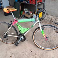 bicicletta Mountain bike torrita di Siena 
