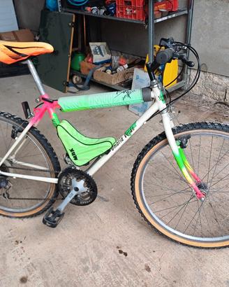 bicicletta Mountain bike torrita di Siena 