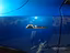 Immagine 21