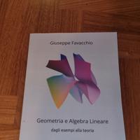 Geometria e algebra lineare- Giuseppe Favacchio 