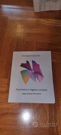 Geometria e algebra lineare- Giuseppe Favacchio 