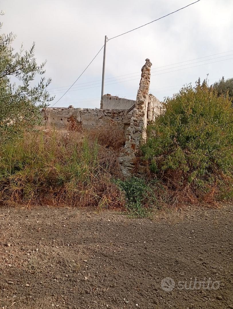 Lotto di Terreno con Alberi d'ulivo produttivi - Vista 4