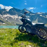 Harley Davidson Sportster 1200