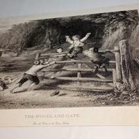 Stampa artistica con cornice