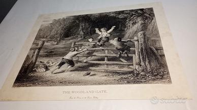 Stampa artistica con cornice