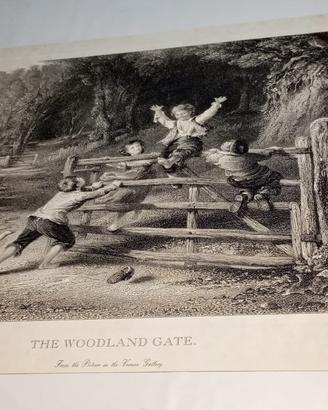 Stampa artistica con cornice