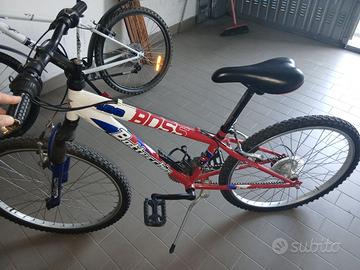 Mountain bike