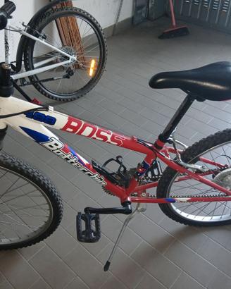 Mountain bike