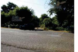 Terreno Agricolo Santu Lussurgiu [A4344912]