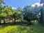 Immagine 27