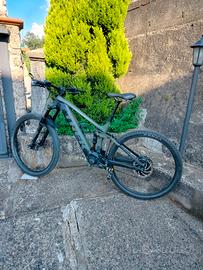 e-bike 
