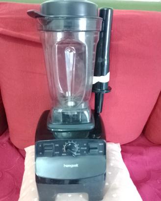 Frullatore professionale