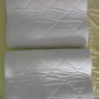 2 guanciali cervicale colore bianco
