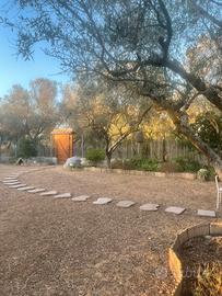 Giardino per feste