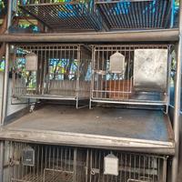 gabbie per conigli acciaio inox