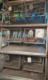 gabbie per conigli,lepri,fagiani in acciaio inox