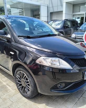 LANCIA Ypsilon 1.2 69 CV 5p. GPL Ecochic GOLD