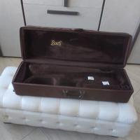 Custodia rigida per trombone