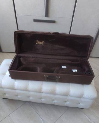 Custodia rigida per trombone