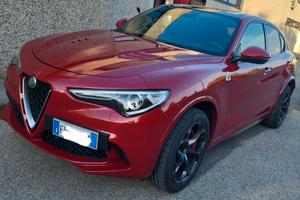 Stelvio Quadrifoglio
