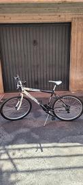 Bicicletta mountain bike 24