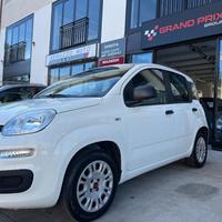 FIAT Panda 1.2 Easy PERFETTA