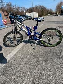 Cannellini 20” High Permormance