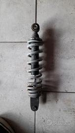 Ammortizzatore posteriore F12 twin disk
