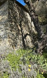 Terreno con rustico a Valverde