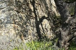 Terreno con rustico a Valverde