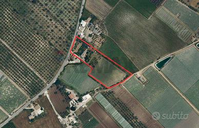 Villa singola - Comiso