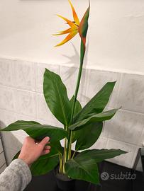 NUOVA h.100cm Strelitzia Reginae - Pianta finta 