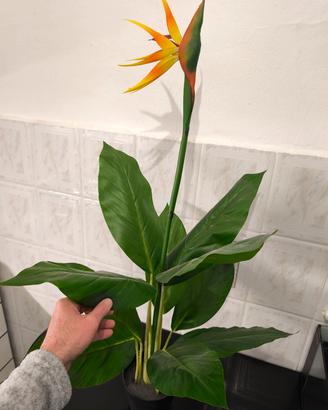 NUOVA h.100cm Strelitzia Reginae - Pianta finta 
