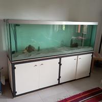 Acquario 800 litri