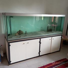 Acquario 800 litri