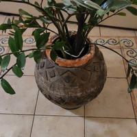 Vaso Artistico in Terracotta con Grande Pianta di