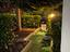 Immagine 5
