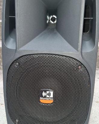 Cassa amplificata montarbo