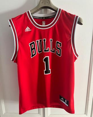 Maglia NBA Chicago Bulls Derrick Rose